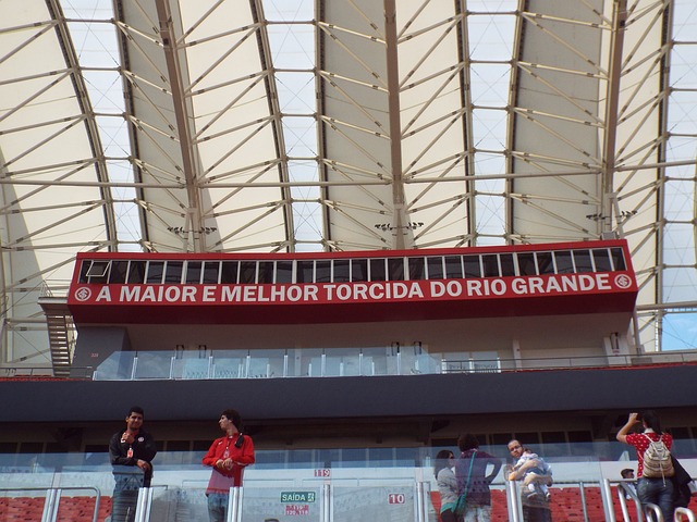 可为其他国 可为其他国