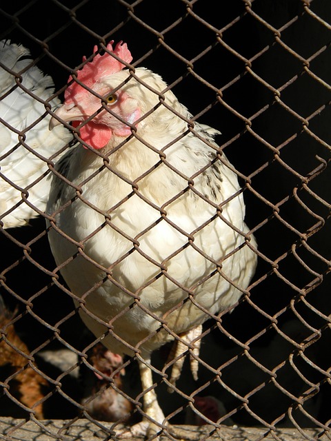 了戏剧性与 了戏剧性与