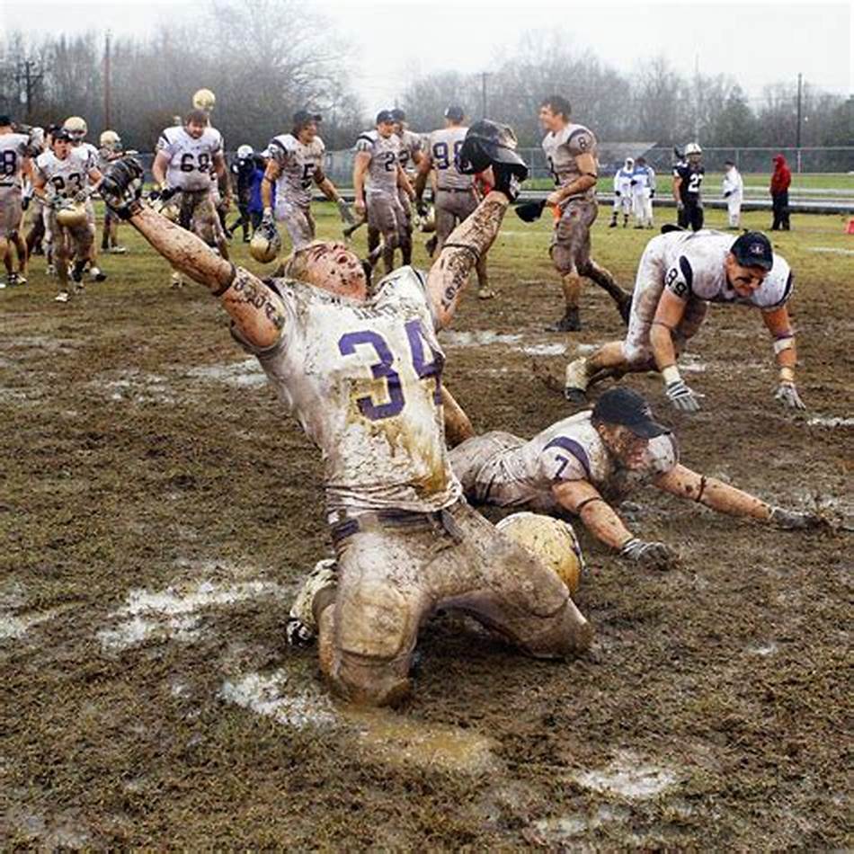 退赛则为比 退赛则为比