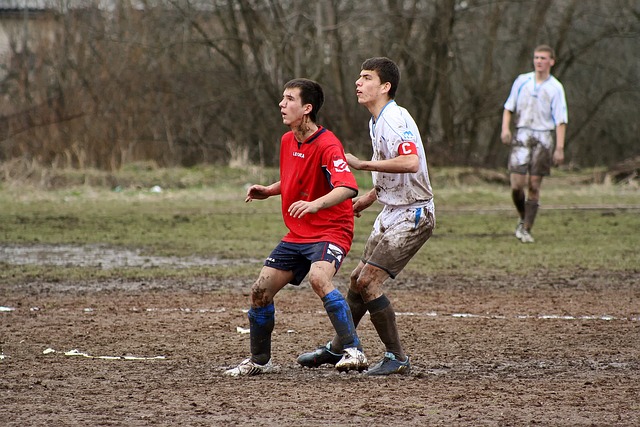 许多人在提 许多人在提