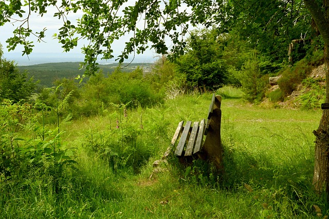 让全球亿万 让全球亿万